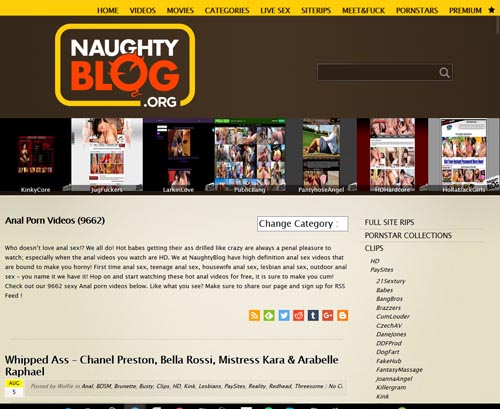Review screenshot naughtyblog.org