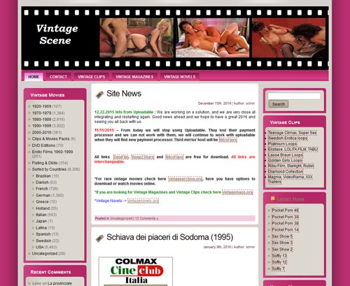 Review screenshot vintagescene.com