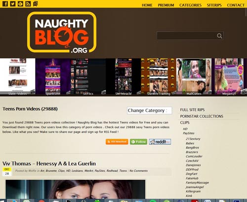 Review screenshot naughtyblog.org