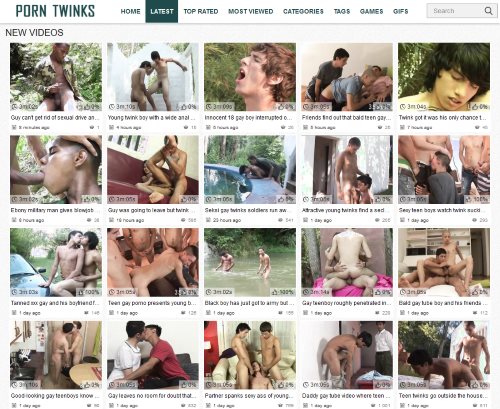 Review screenshot porn-twinks.com
