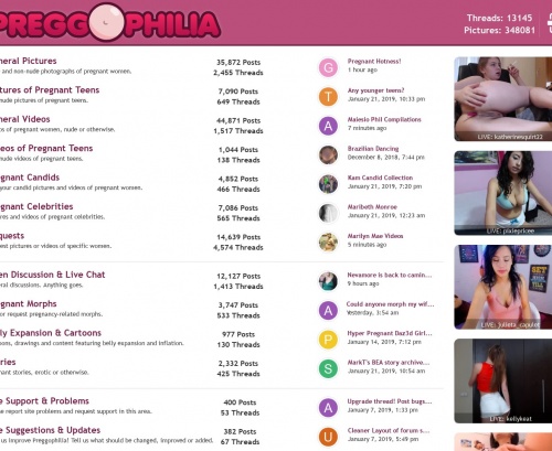 Review screenshot preggophilia.com