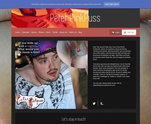 Review screenshot peterpinkpuss.com