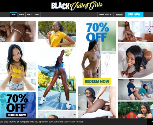 Black Porn Directory - 20+ Best Black Porn Sites & Ebony Sex Sites - TheBestFetishSites