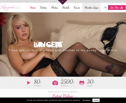 Review screenshot lingerietales.com