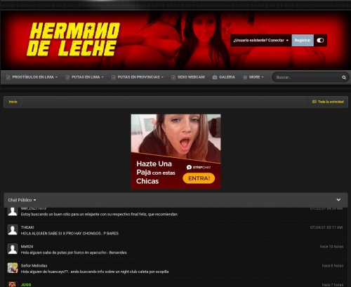 Review screenshot hermanodeleche.com