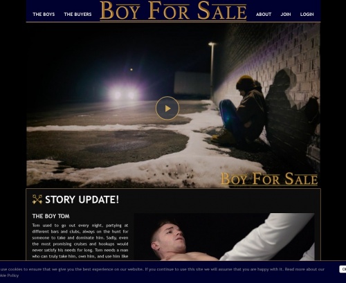 Review screenshot boyforsale.com