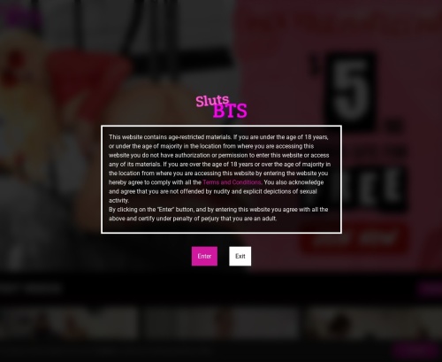 Review screenshot slutsbts.com