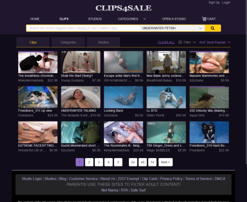 Review screenshot Clips4sale.com
