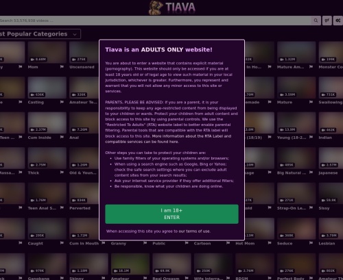 Review screenshot Tiava.com
