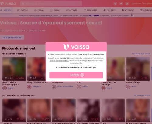 Review screenshot Voissa.com