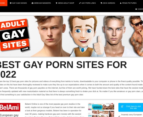 Review screenshot Adultgaysites.com
