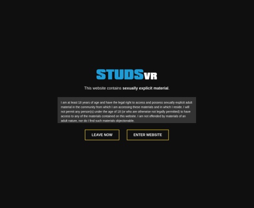 Review screenshot studsvr.com