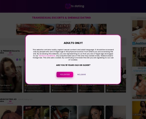Review screenshot ts-dating.com