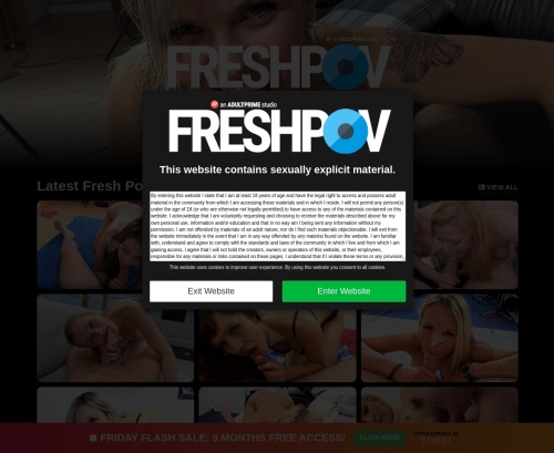 Review screenshot freshpov.com