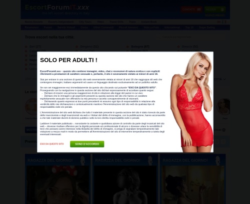 Review screenshot escortforumit.xxx