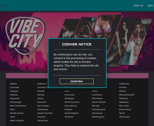 Review screenshot Vibe-city.us