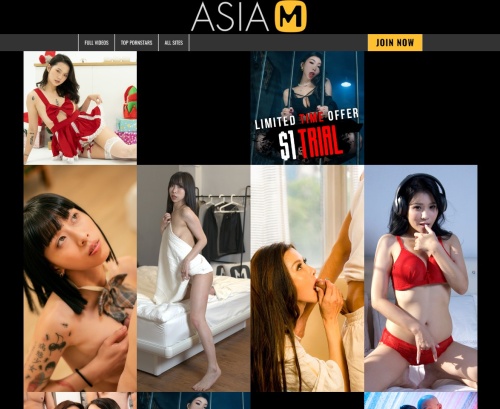 Review screenshot Modelmediaasia.com