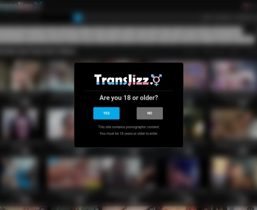 Review screenshot transjizz.com