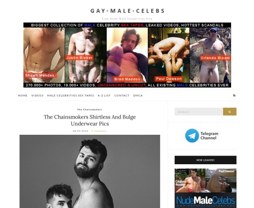 Review screenshot gay-male-celebs.com