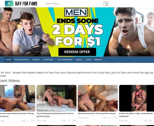 Review screenshot gayforfans.com