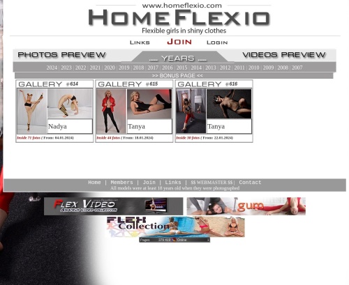 Review screenshot homeflexio.com