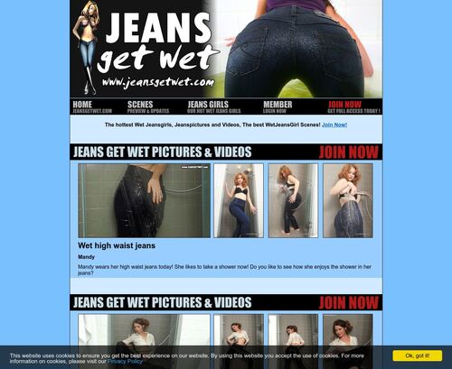 Review screenshot jeansgetwet.com