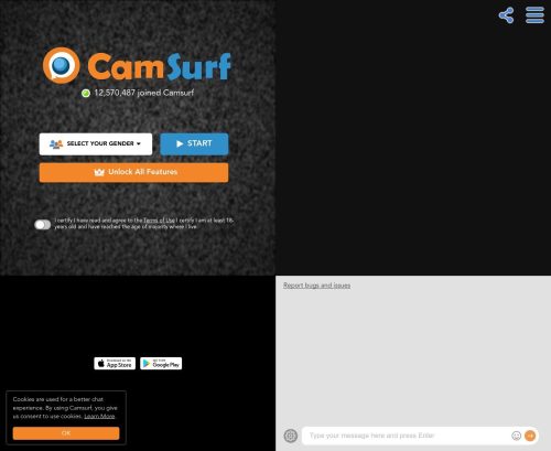 Review screenshot camsurf.com