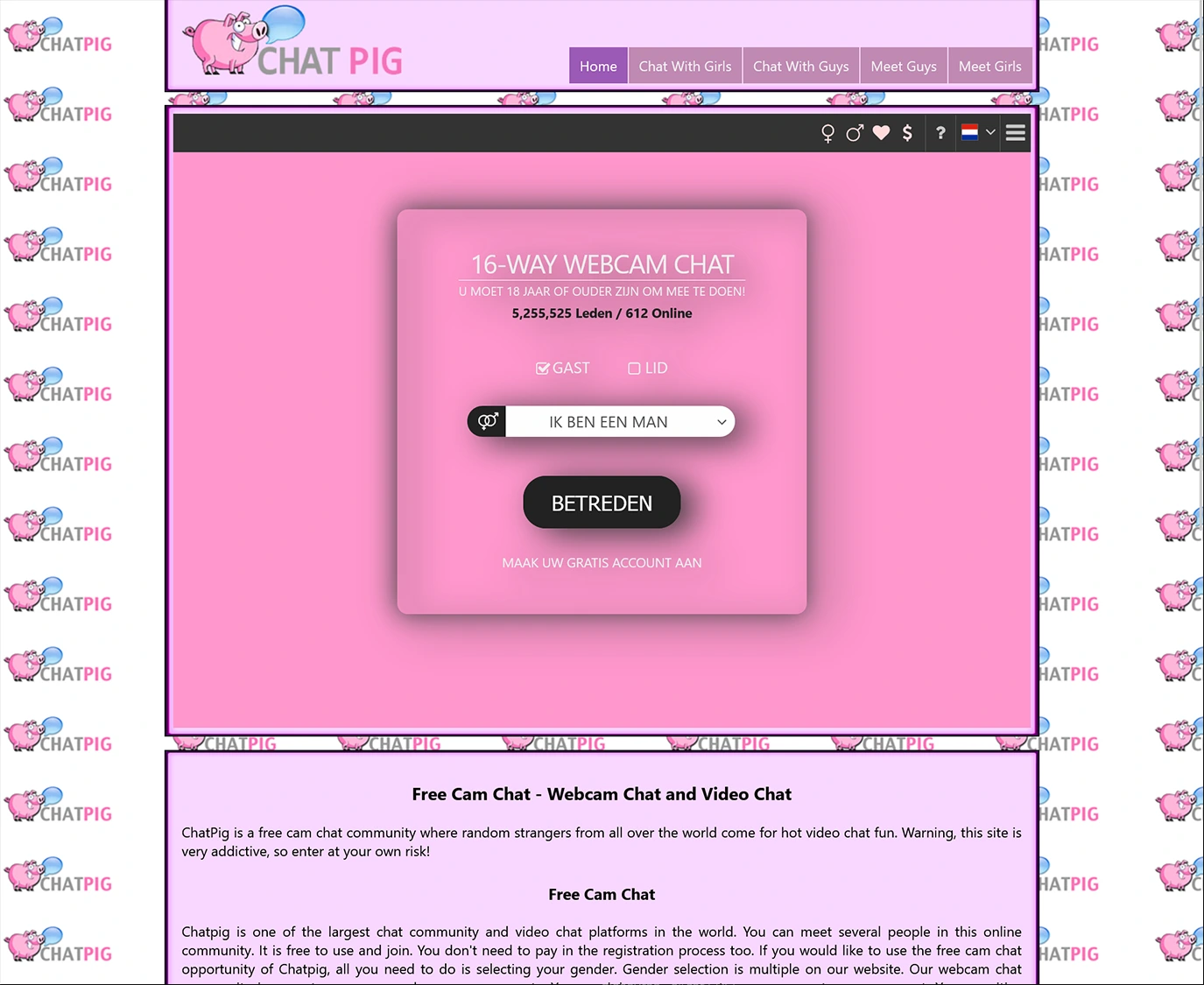 Screenshot from chatpig.com for review purposes Review screenshot chatpig.com