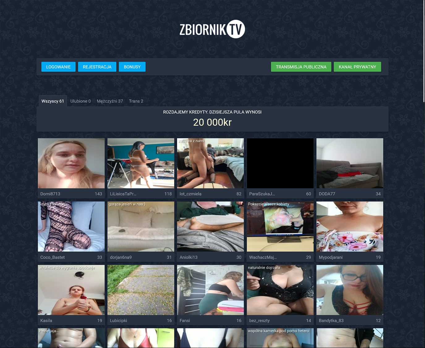 Screenshot from Zbiornik.tv for review purposes Review screenshot Zbiornik.tv