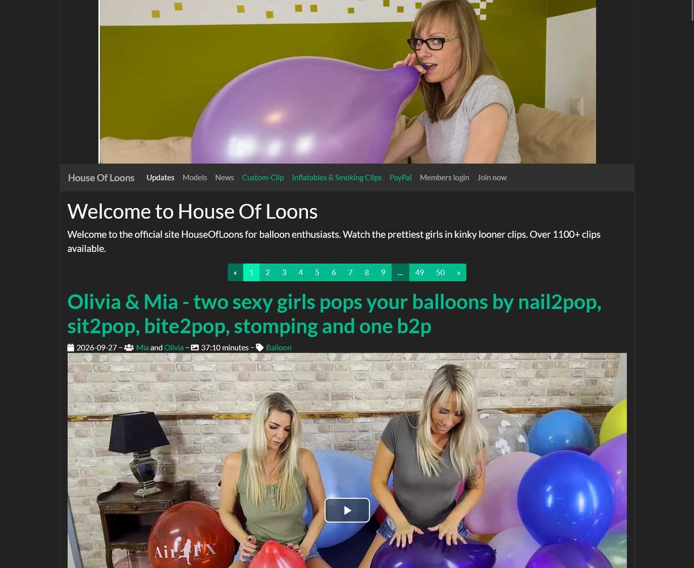 House Of Loons