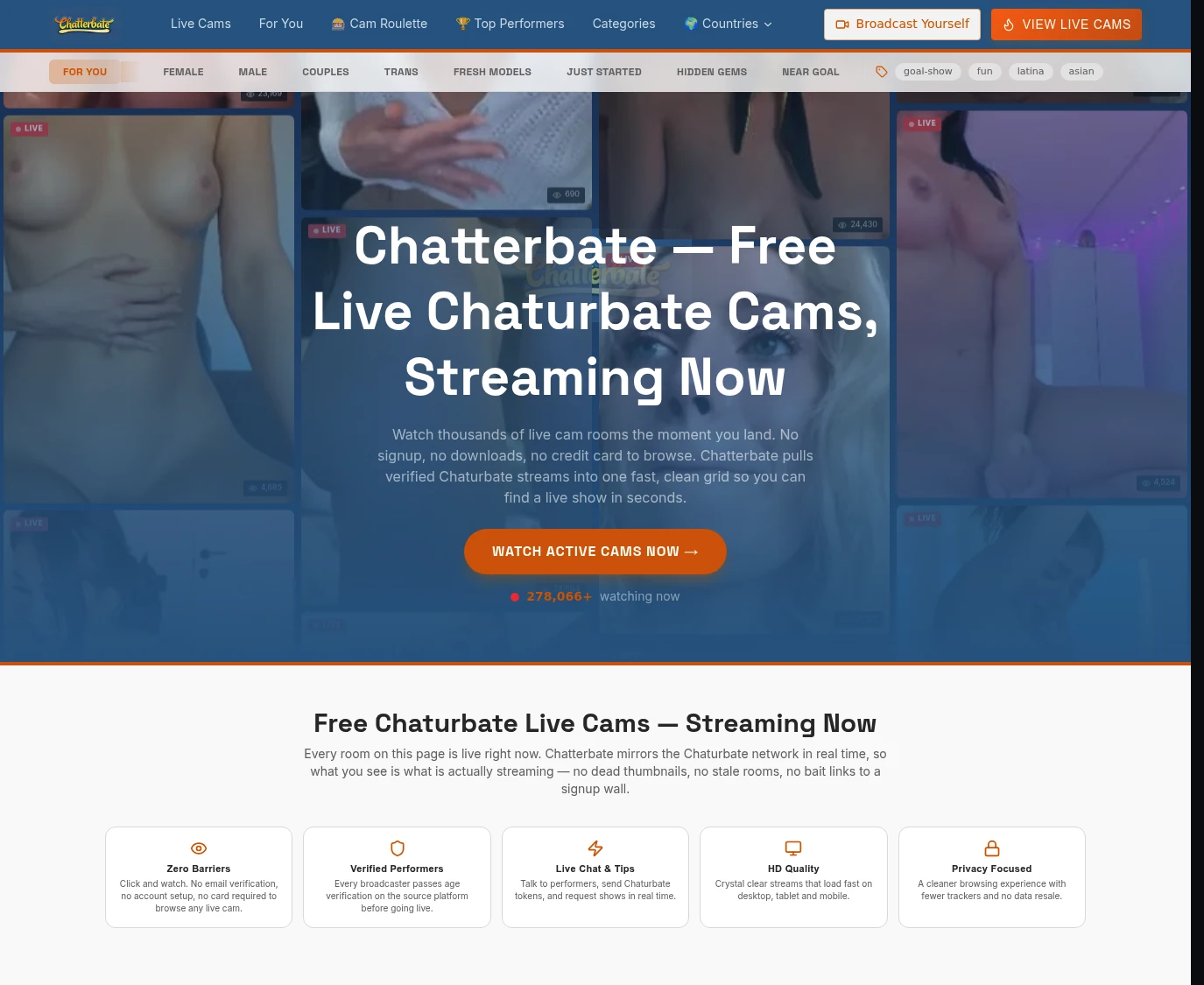 Screenshot from Chatterbate.net for review purposes Review screenshot Chatterbate.net