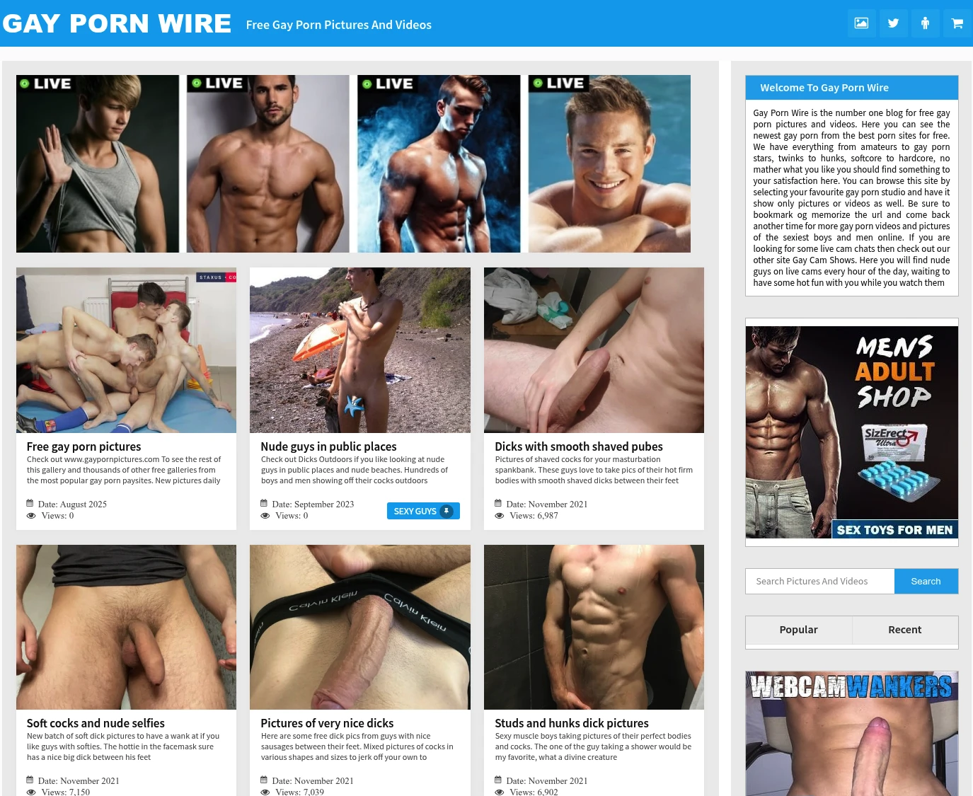 Gay Porn Wire