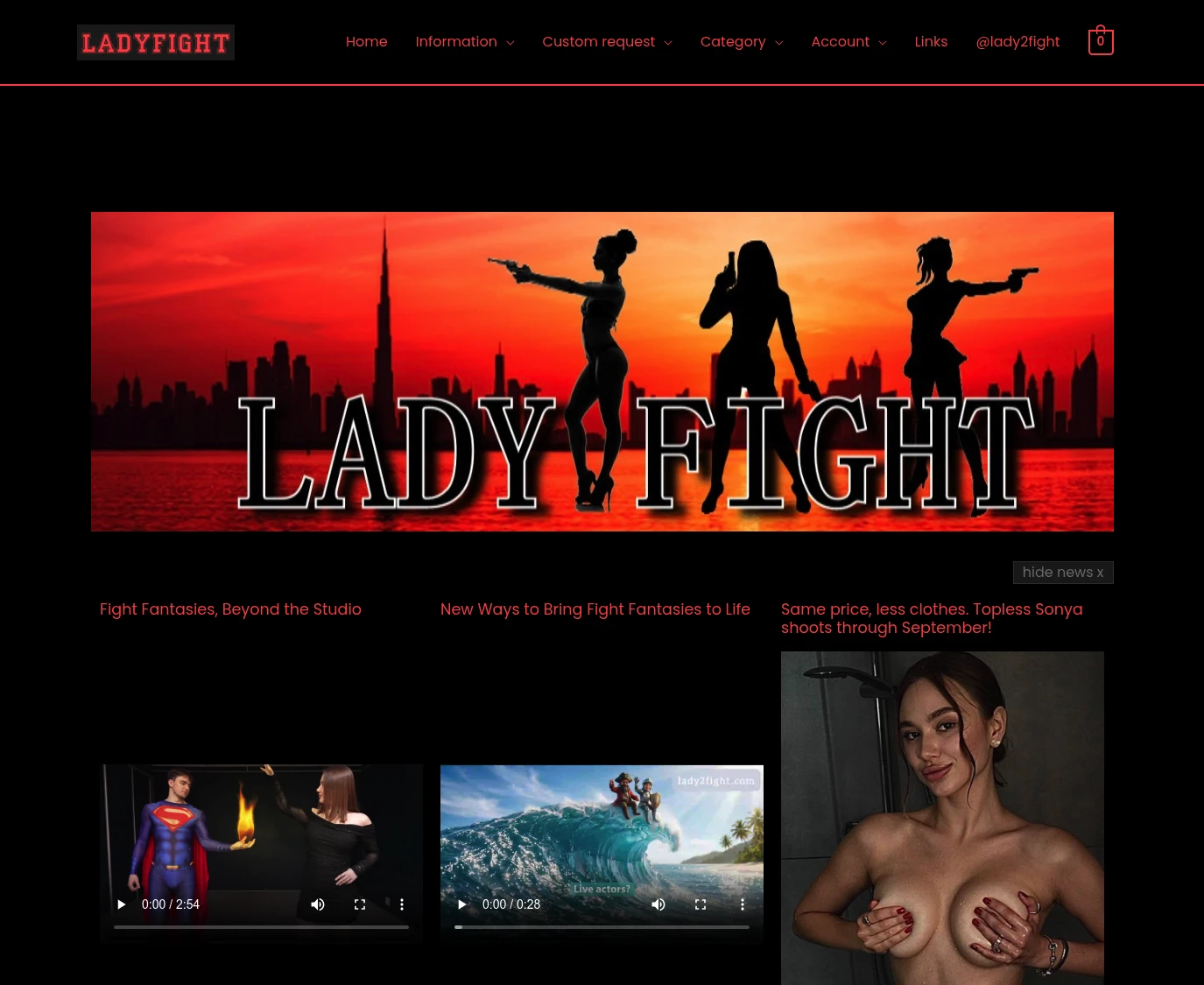Lady 2 Fight