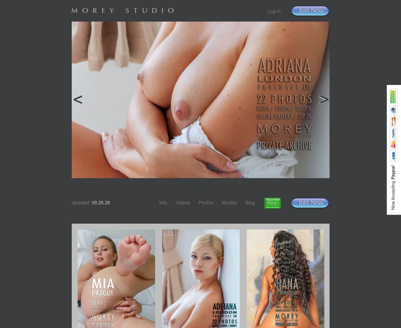 MoreyStudio