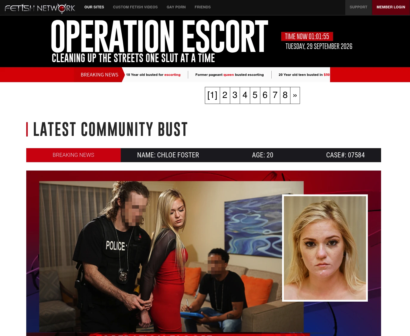 Screenshot from operationescort.com for review purposes Review screenshot operationescort.com