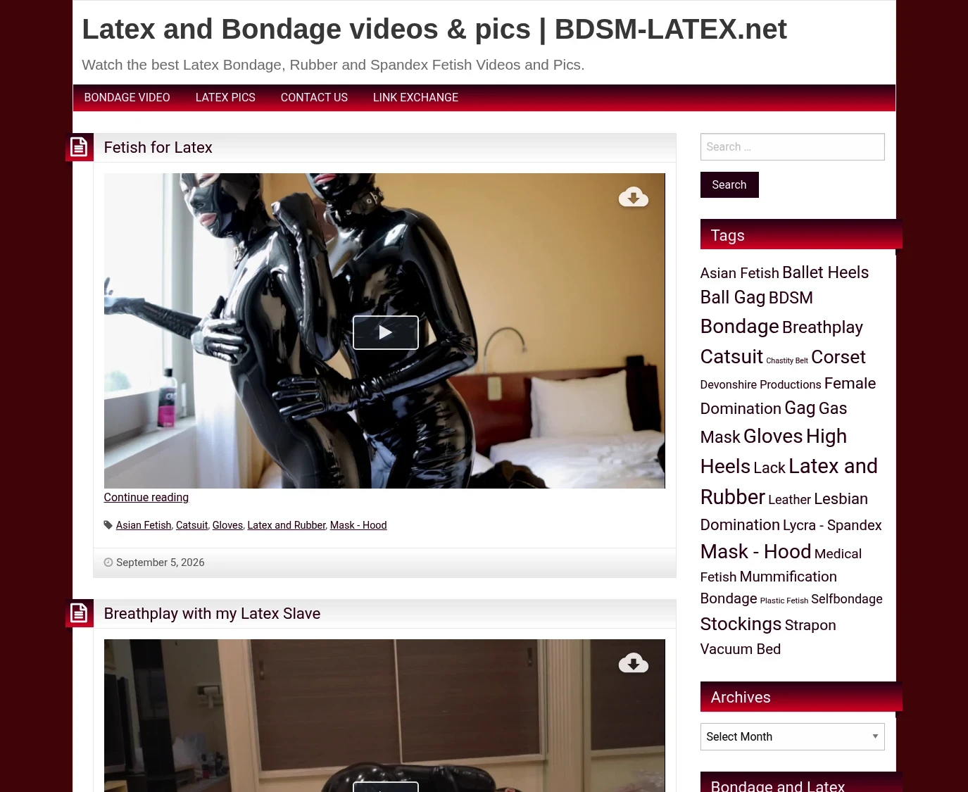 Screenshot from bdsm-latex.net for review purposes Review screenshot bdsm-latex.net