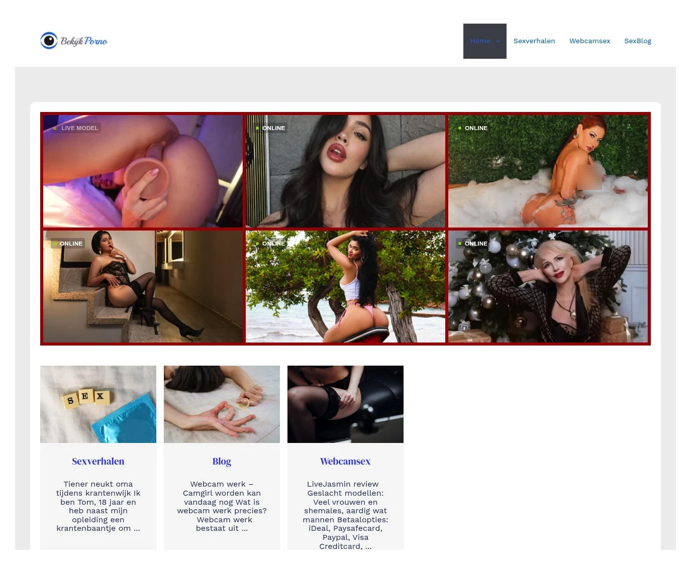 BekijkPorno