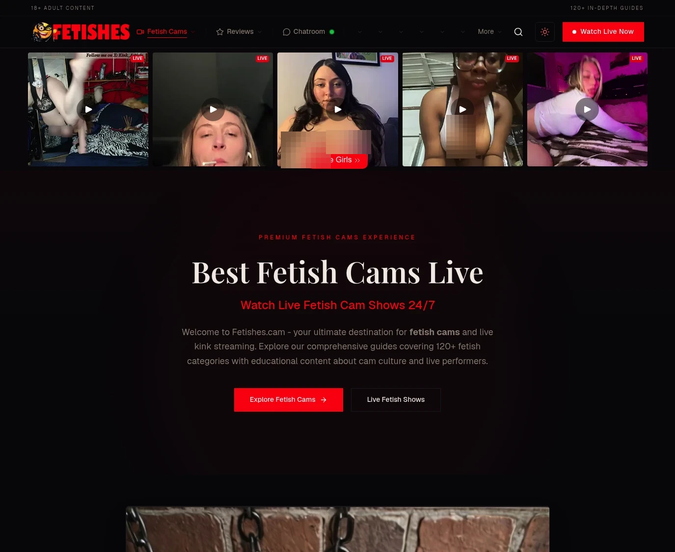 Screenshot from Fetishes.cam for review purposes Review screenshot Fetishes.cam