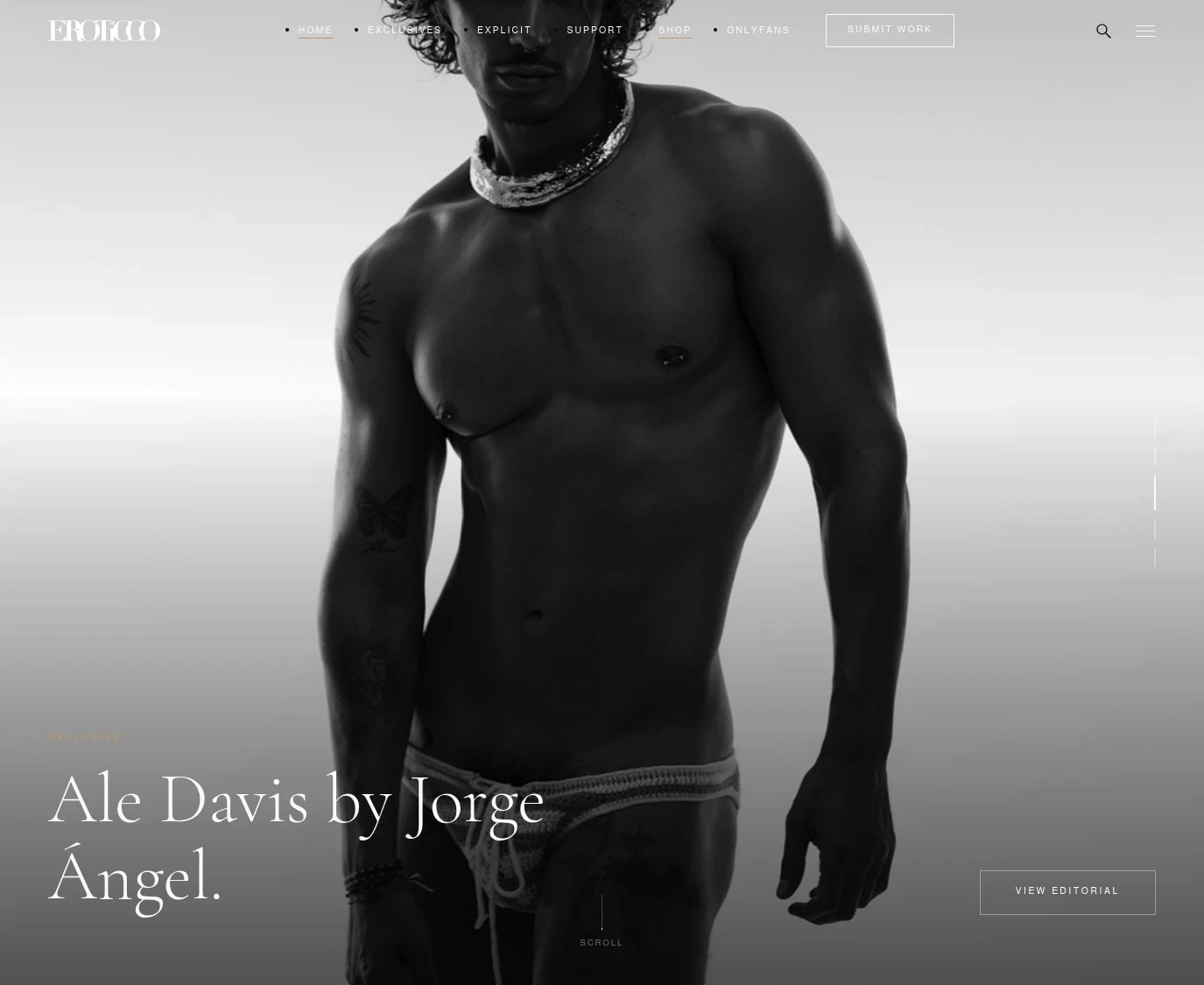 Screenshot from Eroticcomagazine.com for review purposes Review screenshot Eroticcomagazine.com