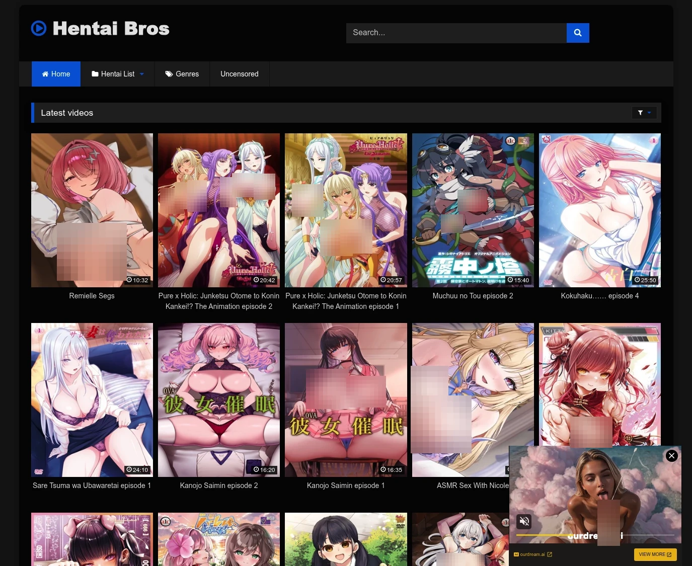 Screenshot from Hentaibros.net for review purposes Review screenshot Hentaibros.net