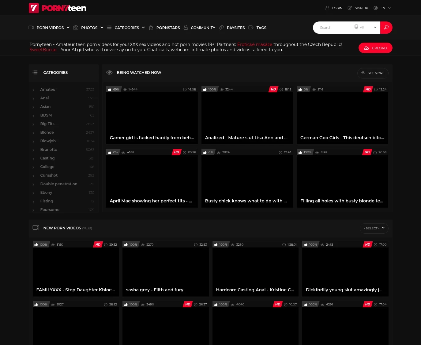Screenshot from Pornyteen.com for review purposes Review screenshot Pornyteen.com