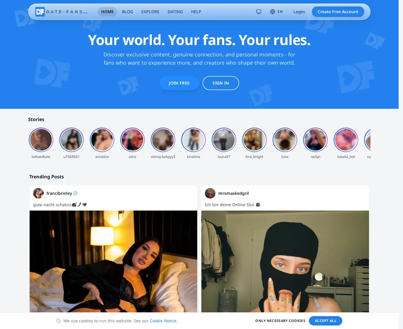 Review screenshot Date-fans.com
