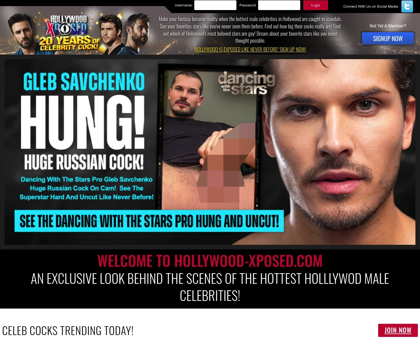 Screenshot from hollywood-xposed.com for review purposes Review screenshot hollywood-xposed.com