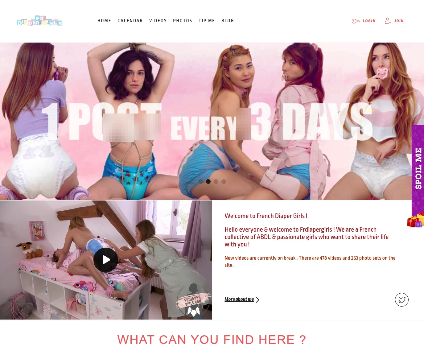 Screenshot from frdiapergirls.com for review purposes Review screenshot frdiapergirls.com