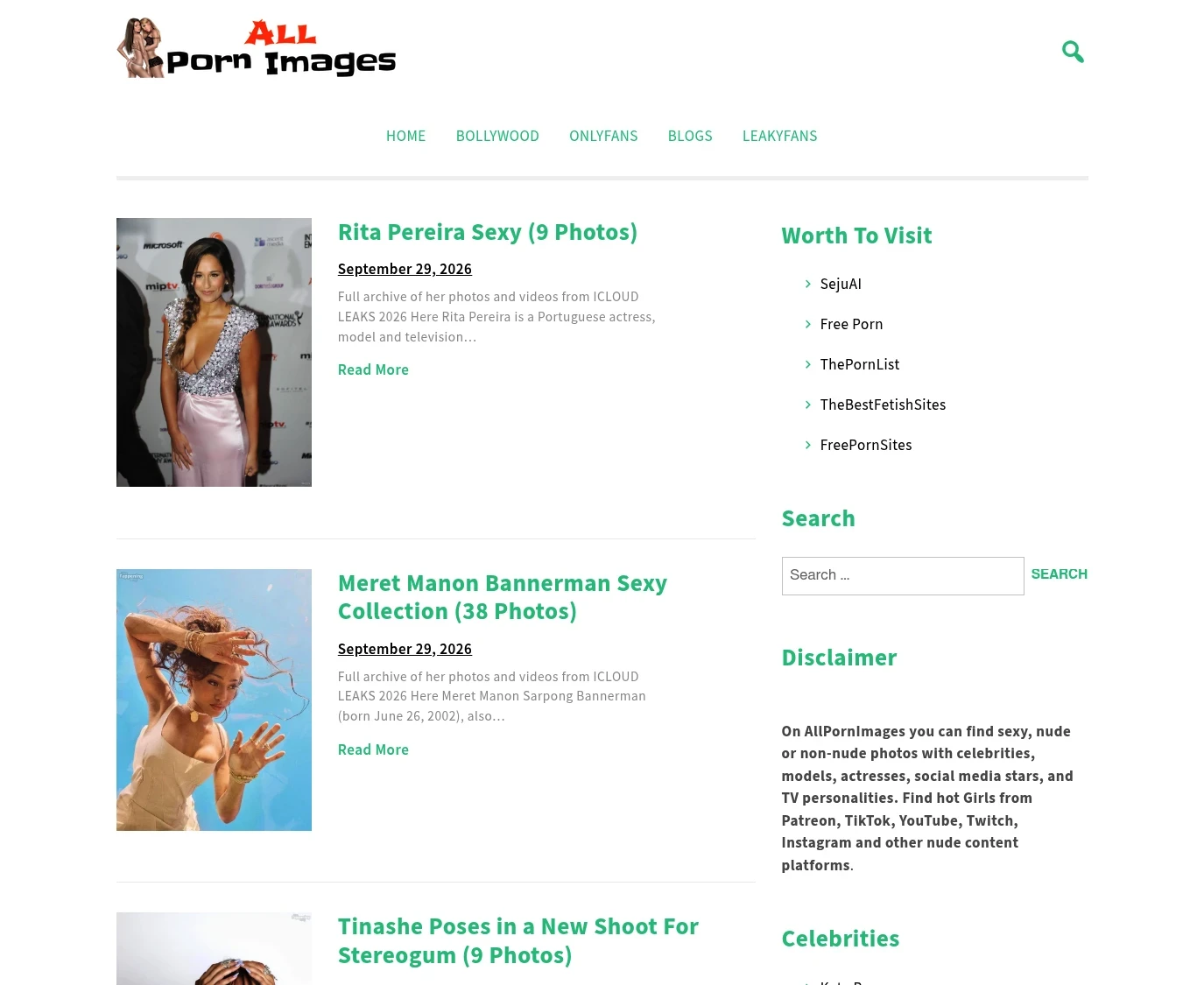 Screenshot from Allpornimages.com for review purposes Review screenshot Allpornimages.com