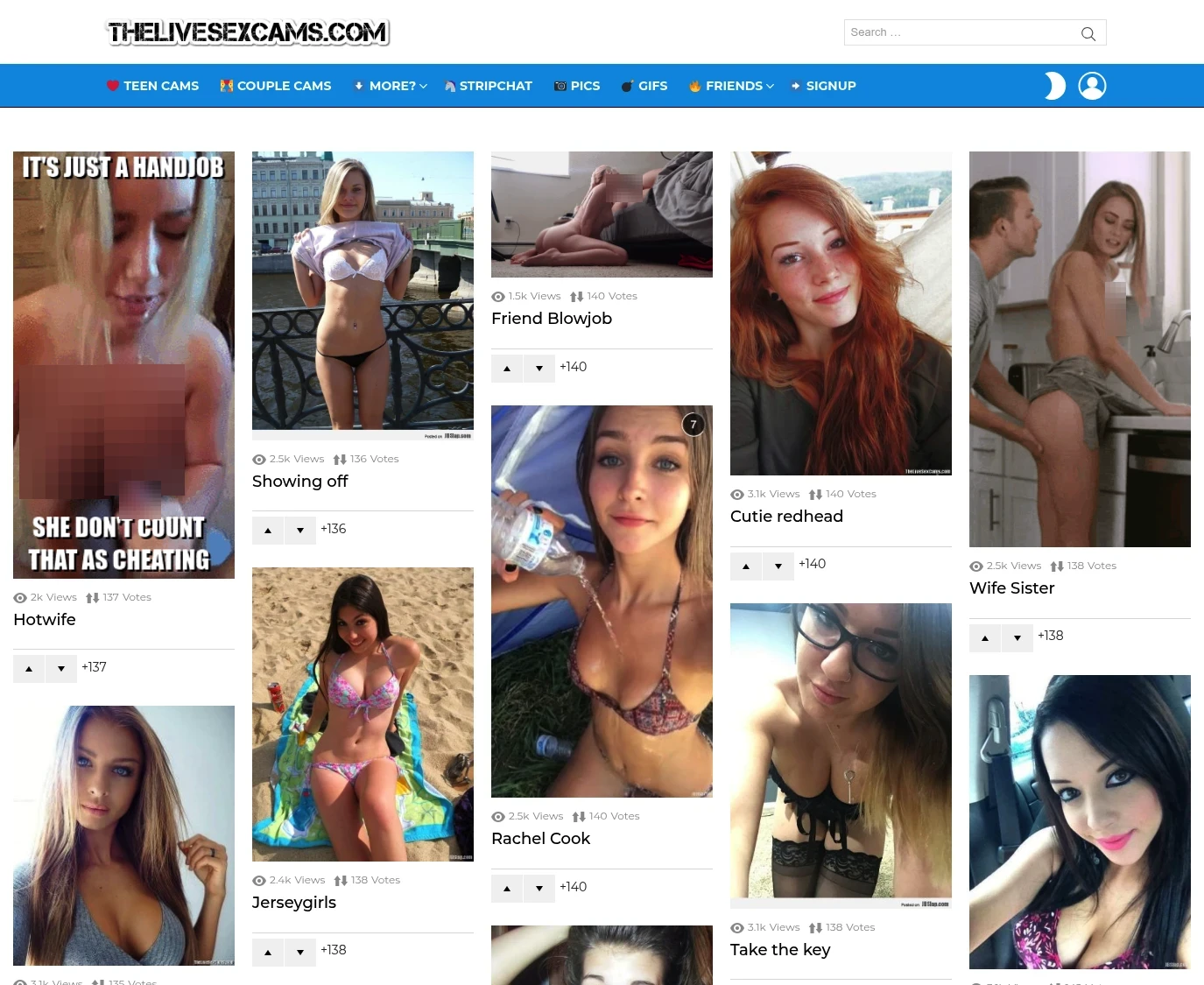 Screenshot from Thelivesexcams.com for review purposes Review screenshot Thelivesexcams.com