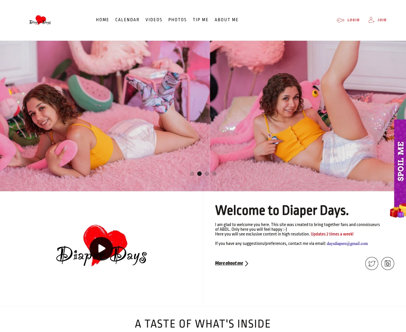 Screenshot from diapersdays.com for review purposes Review screenshot diapersdays.com
