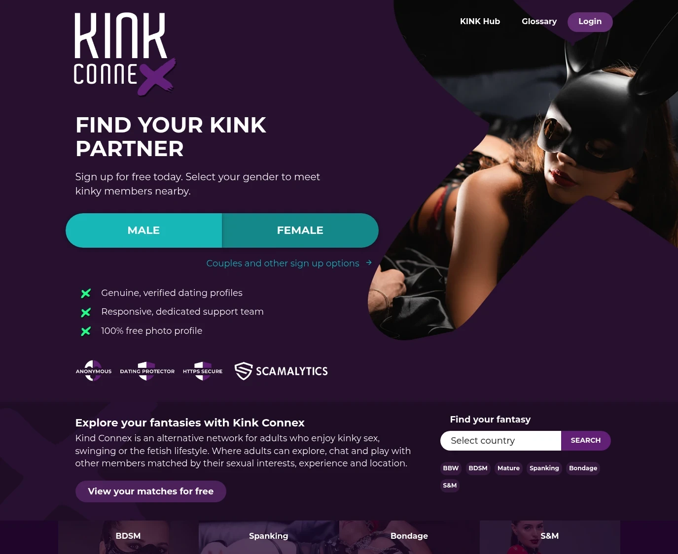 Review screenshot Kinkconnex.com