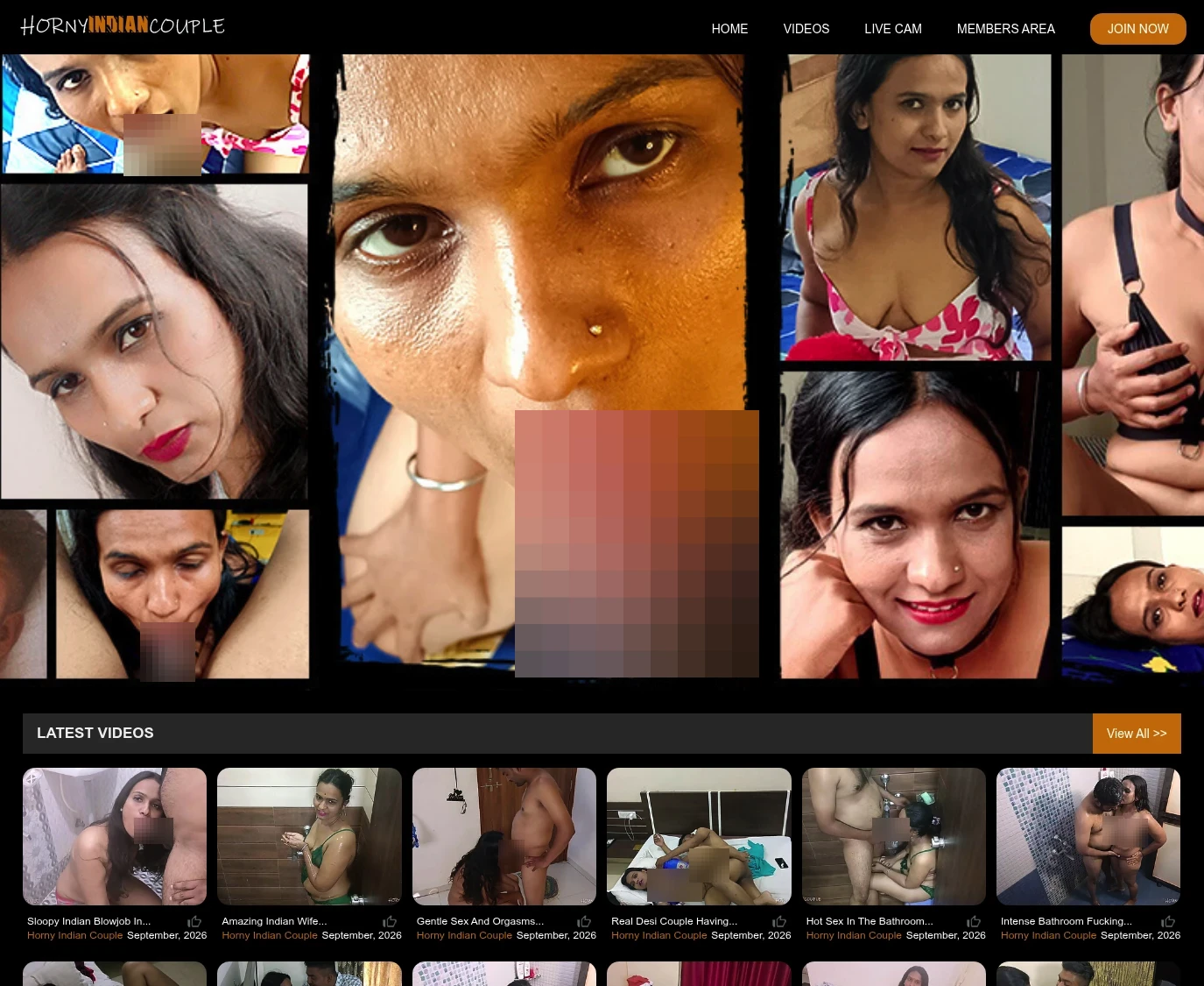 Screenshot from Hornyindiancouple.com for review purposes Review screenshot Hornyindiancouple.com