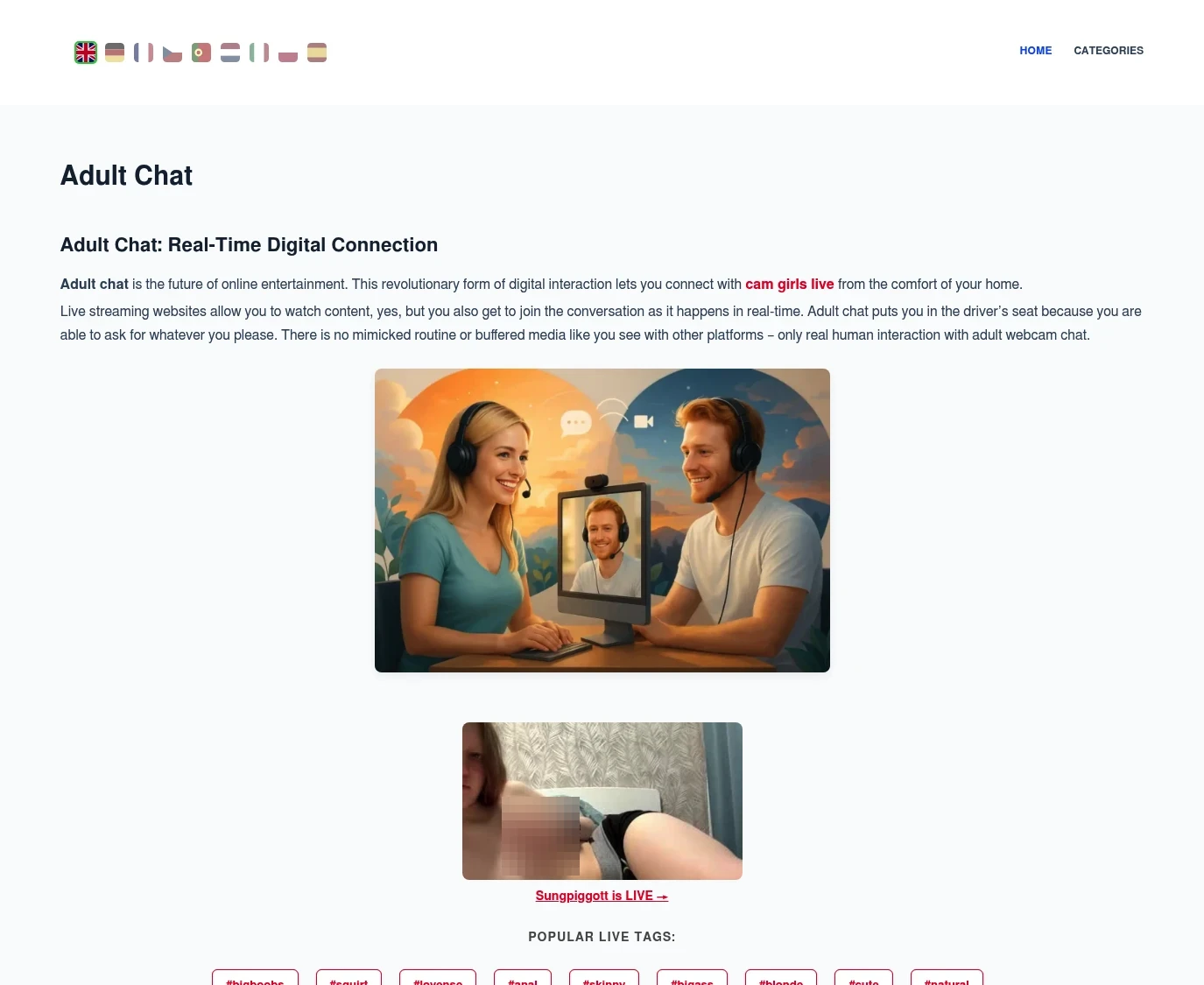 Review screenshot adultinteractivechat.net
